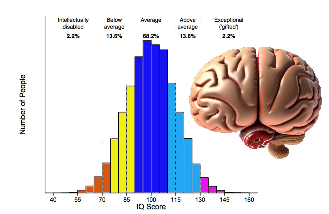 IQ Bell Curve